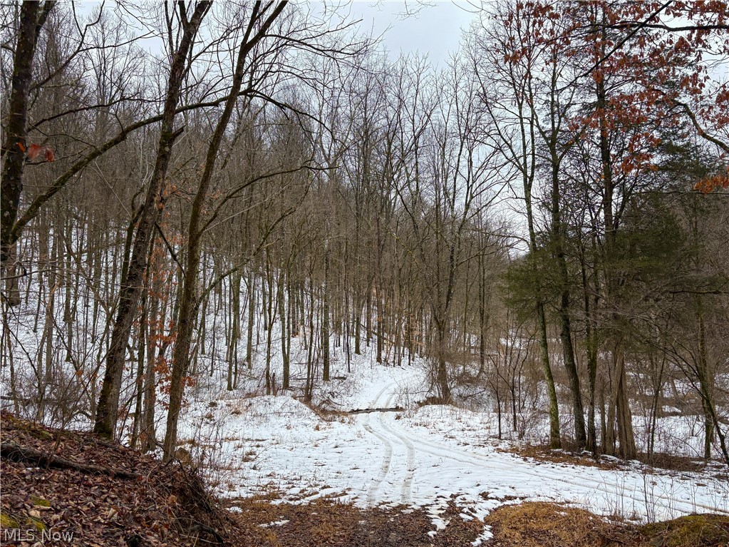 0 Tract 4 Twp Road 815 Woodsfield OH 43793