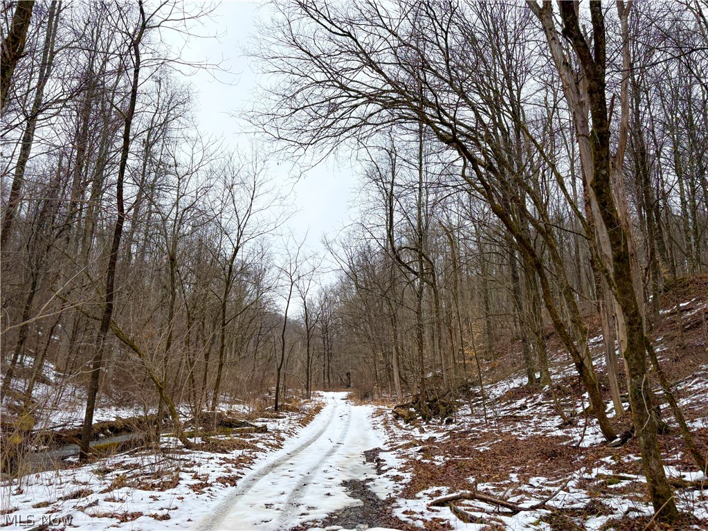 0 Tract 4 Twp Road 815 Woodsfield OH 43793