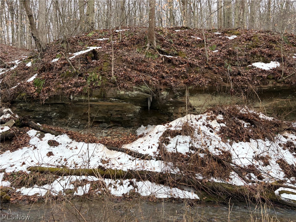 0 Tract 4 Twp Road 815 Woodsfield OH 43793