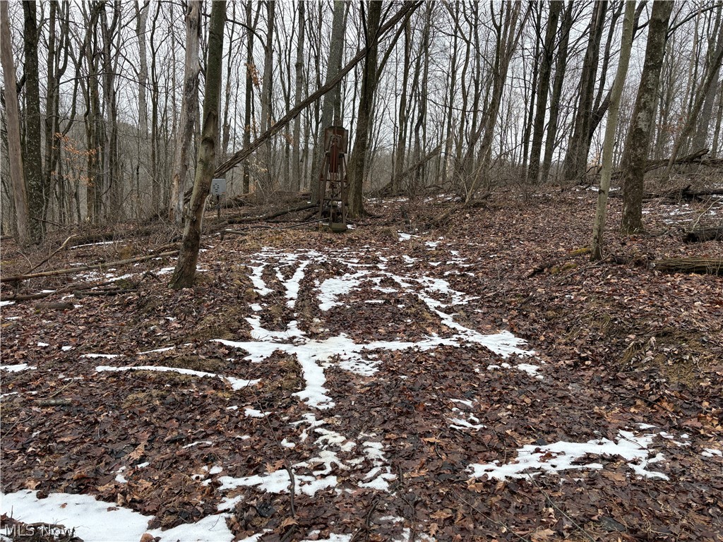 0 Tract 4 Twp Road 815 Woodsfield OH 43793