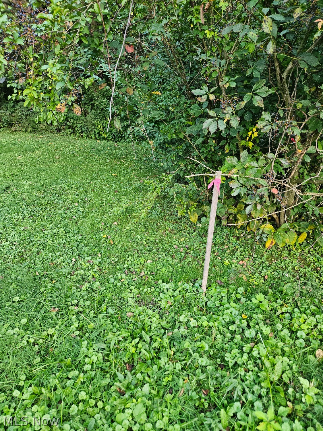 649 Gasche Street Wooster OH 44691