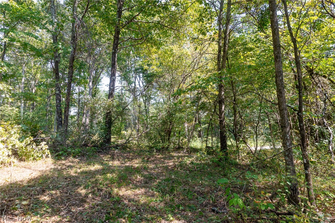 0 3 County Road 269 Glouster OH 43730