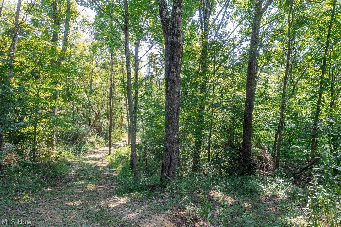 0 3 County Road 269 Glouster OH 43730