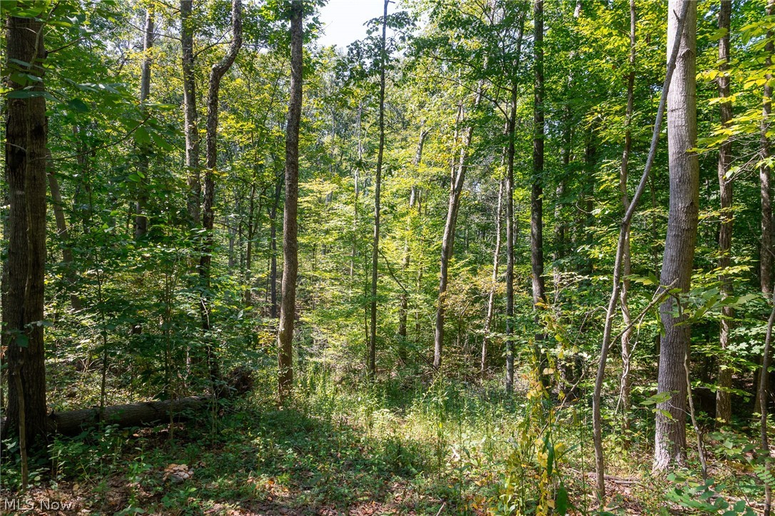 0 3 County Road 269 Glouster OH 43730