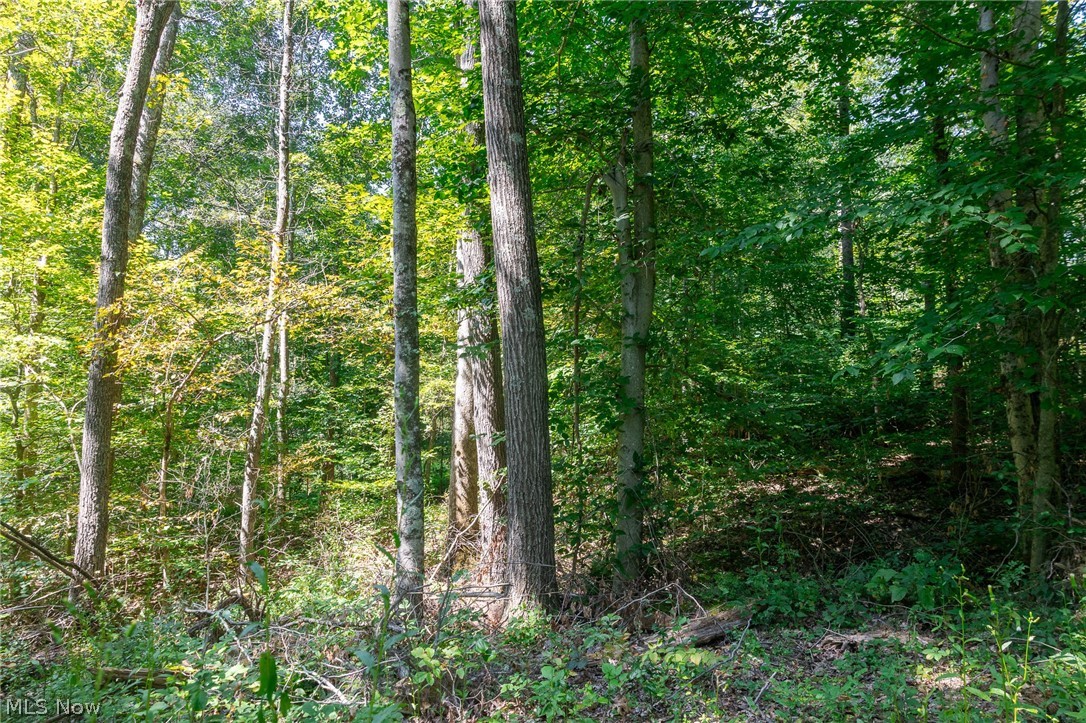 0 3 County Road 269 Glouster OH 43730