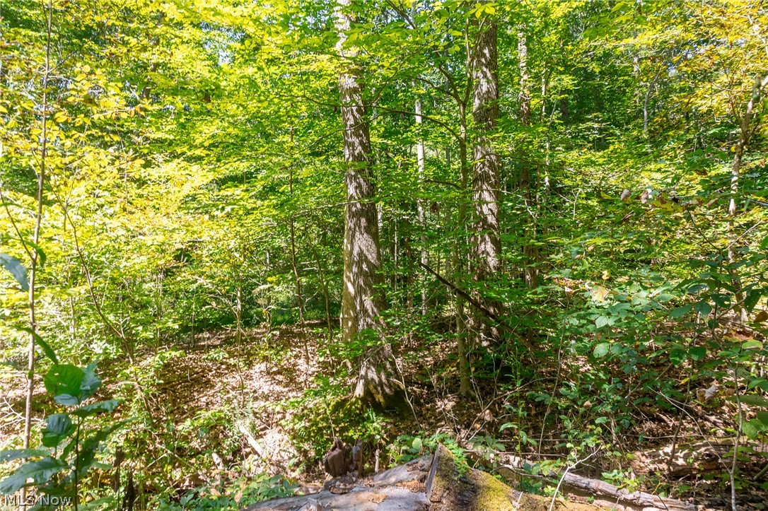 0 3 County Road 269 Glouster OH 43730