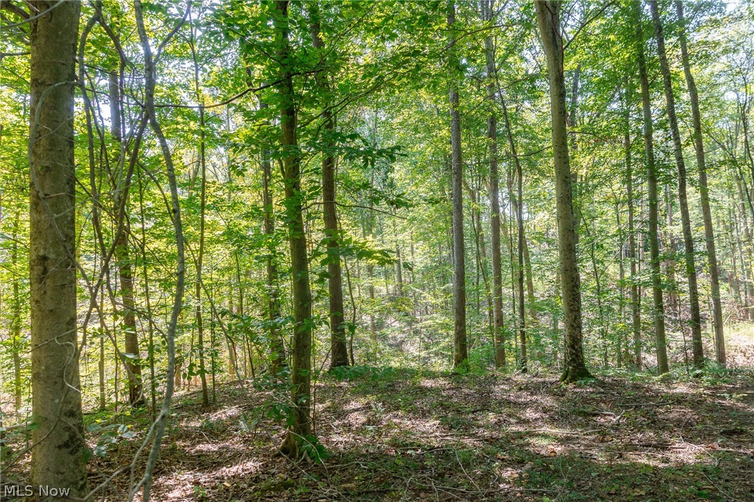 0 3 County Road 269 Glouster OH 43730