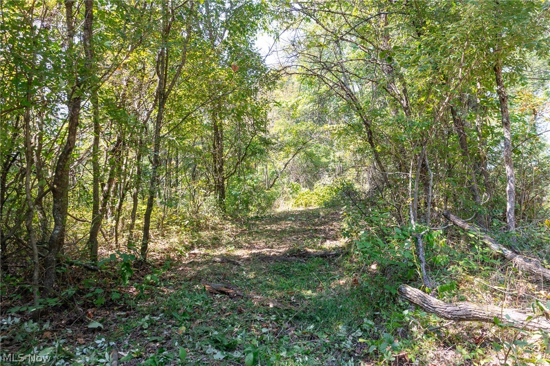 0 3 County Road 269 Glouster OH 43730
