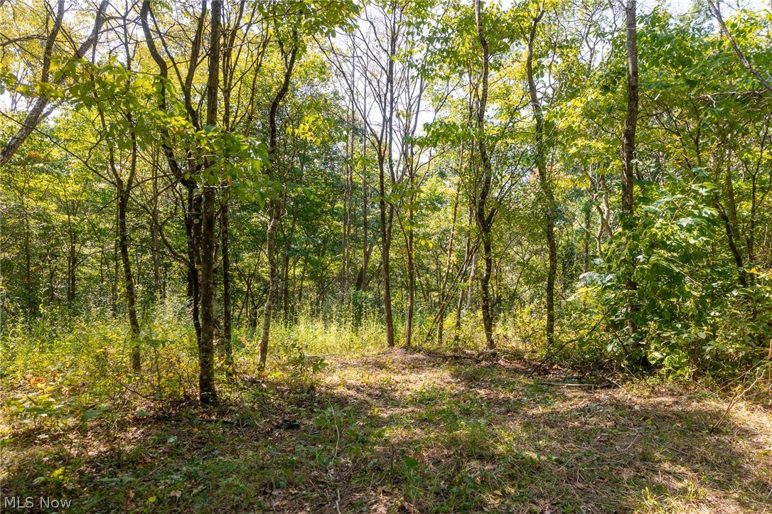 0 3 County Road 269 Glouster OH 43730