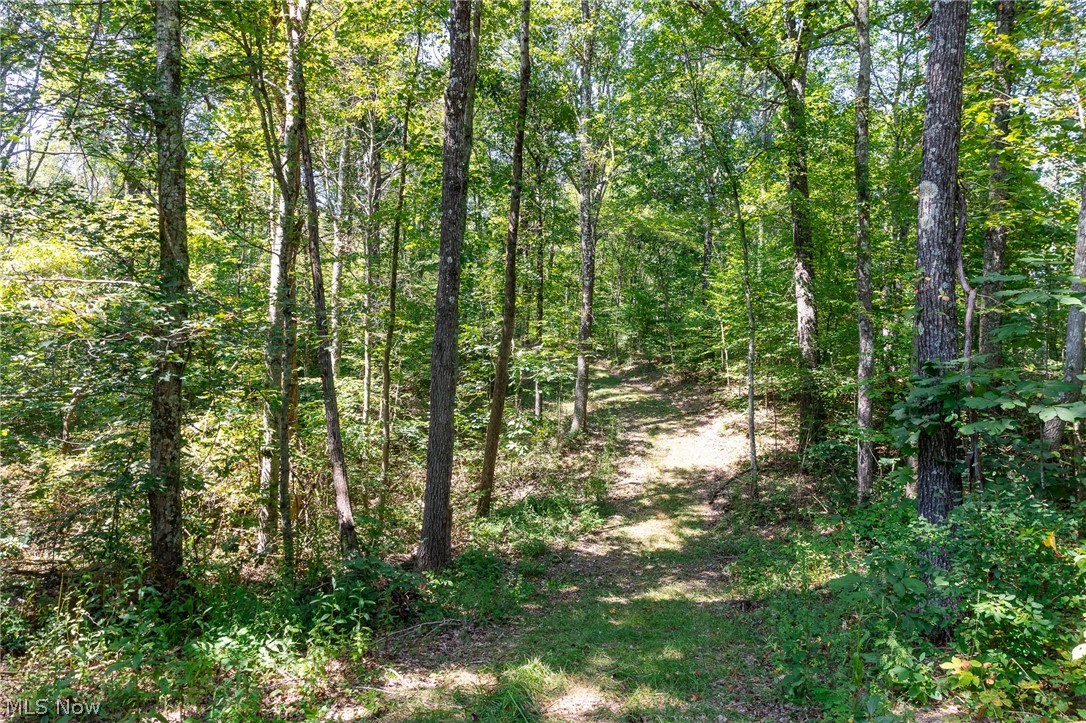 0 3 County Road 269 Glouster OH 43730