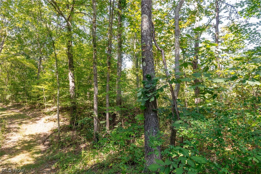 0 3 County Road 269 Glouster OH 43730