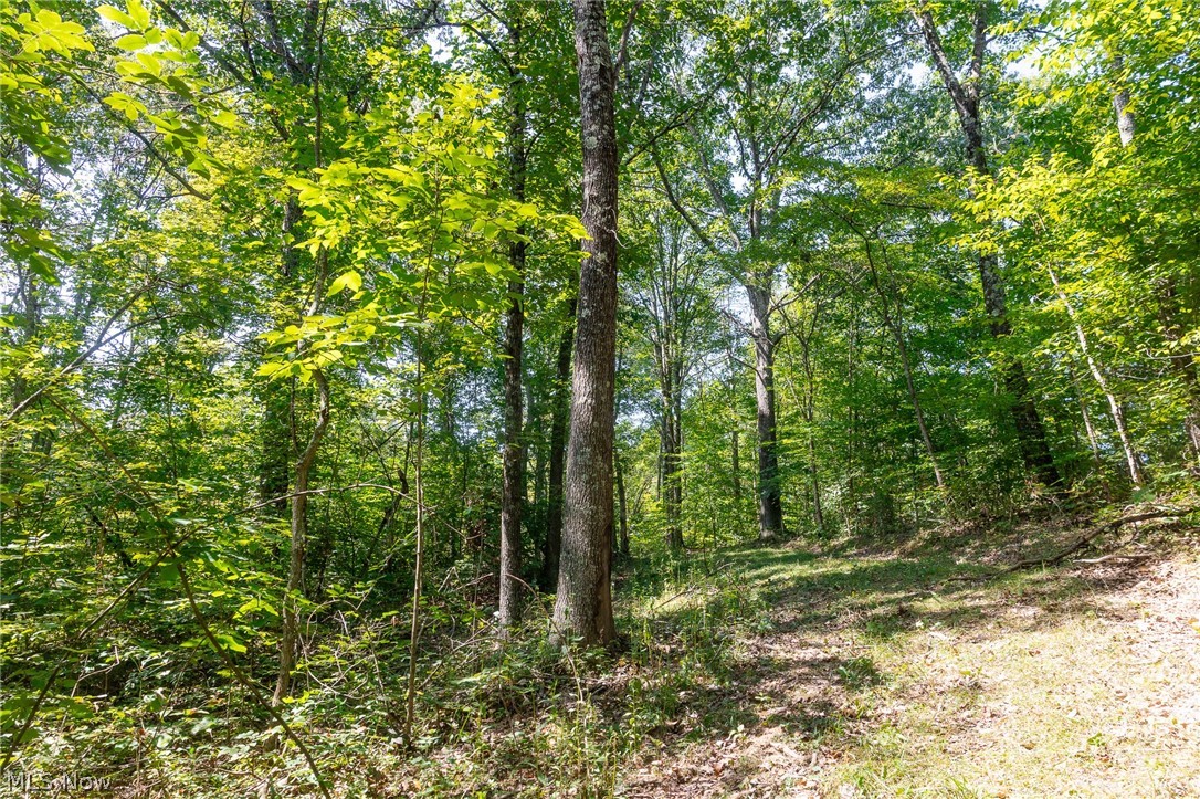 0 3 County Road 269 Glouster OH 43730