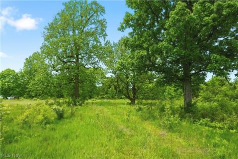 3133 Greenwich Road Wadsworth OH 44281