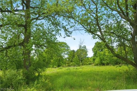 3133 Greenwich Road Wadsworth OH 44281