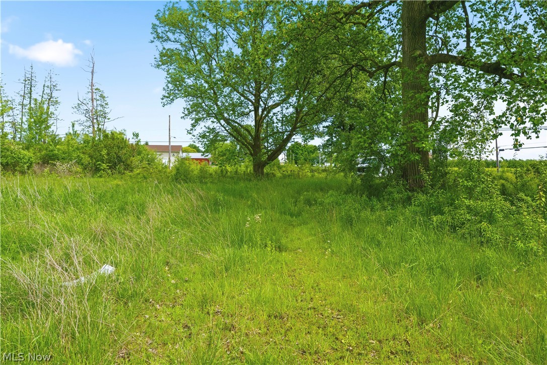 3133 Greenwich Road Wadsworth OH 44281