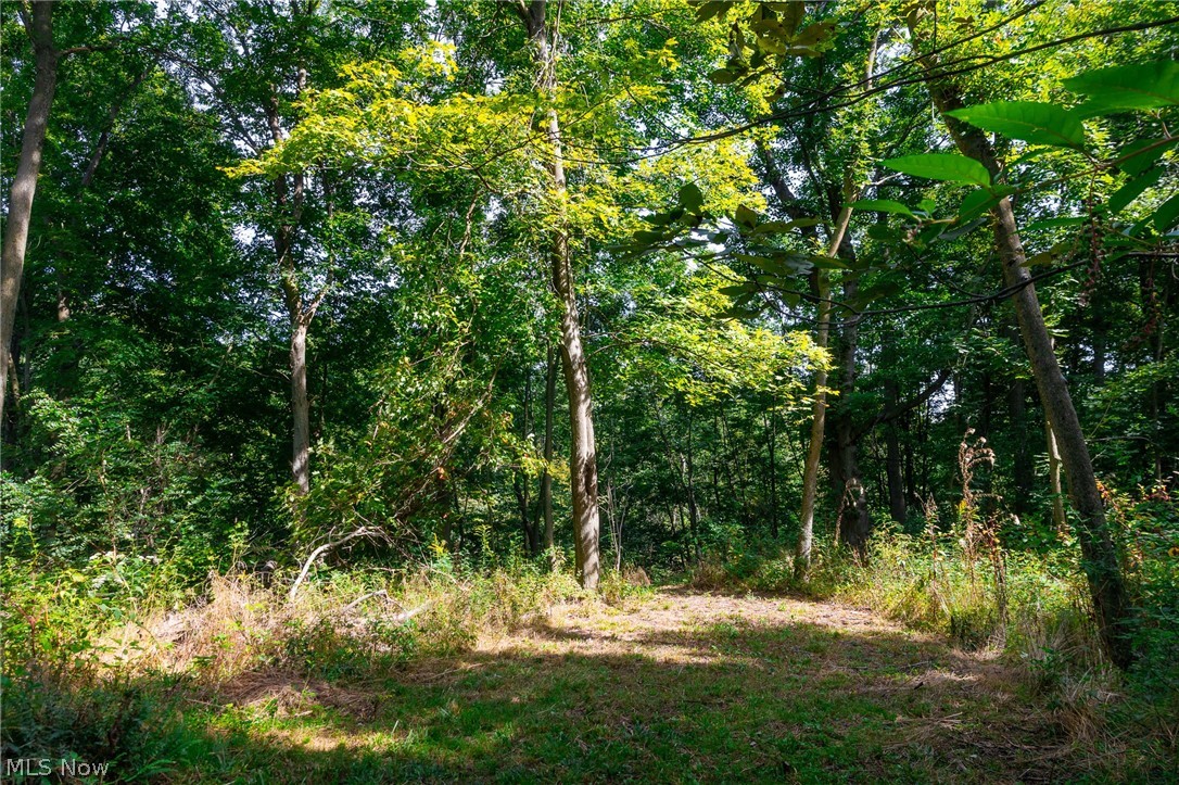 14425 Township Road 467 Lakeville OH 44638