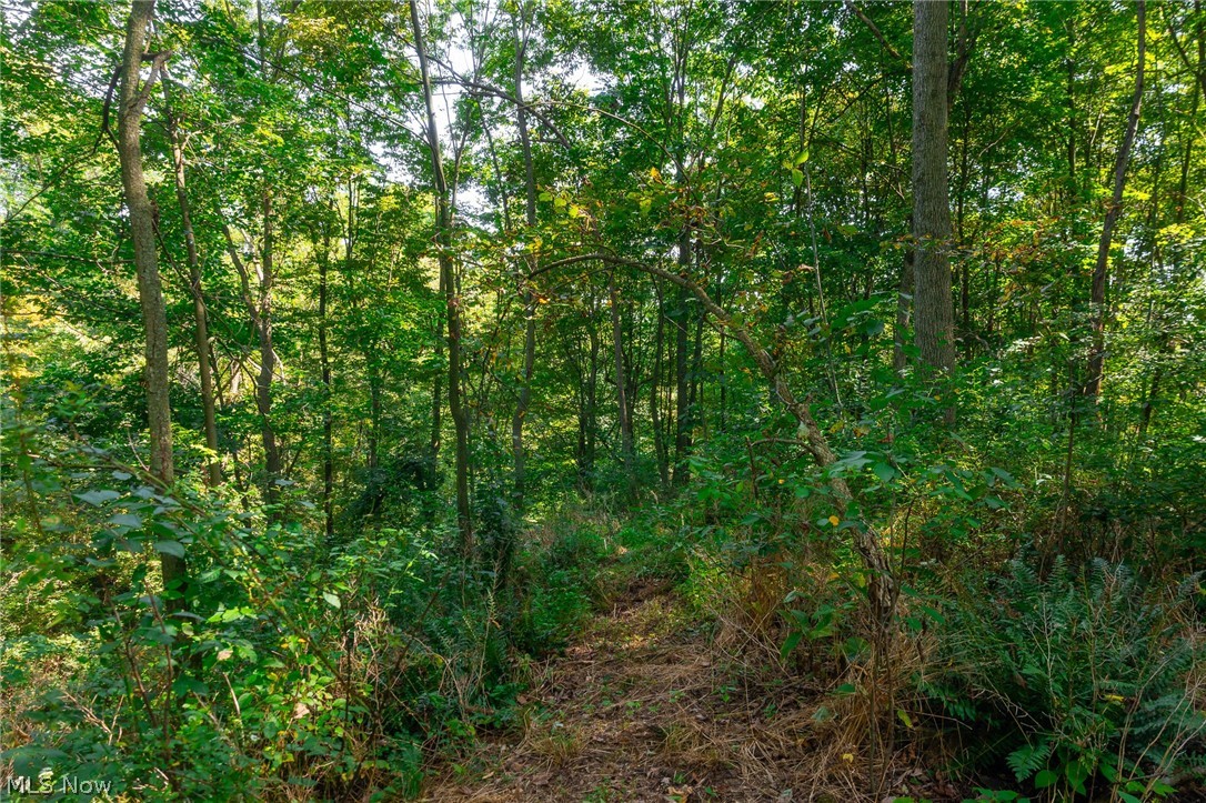 14425 Township Road 467 Lakeville OH 44638