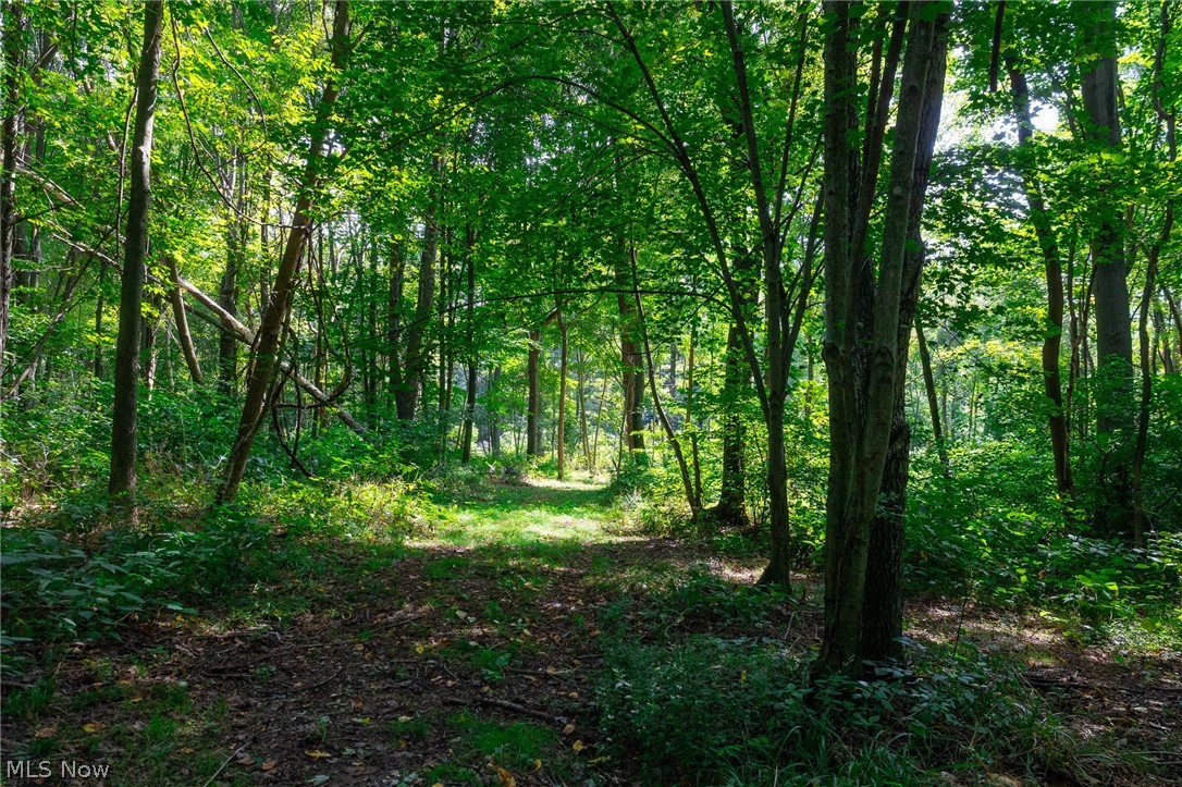 14425 Township Road 467 Lakeville OH 44638