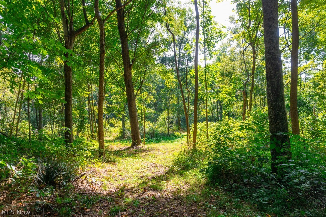 14425 Township Road 467 Lakeville OH 44638