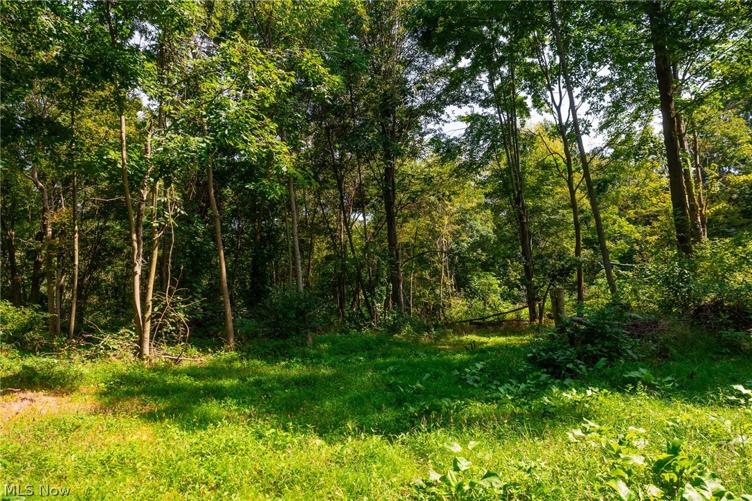 14425 Township Road 467 Lakeville OH 44638