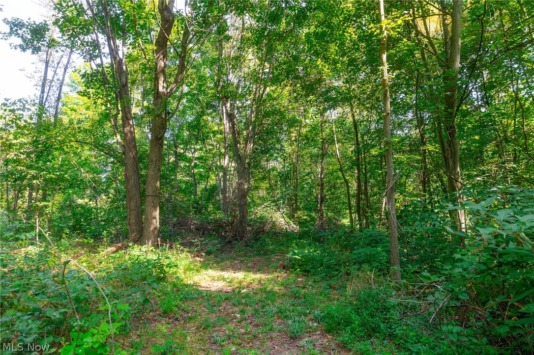 14425 Township Road 467 Lakeville OH 44638