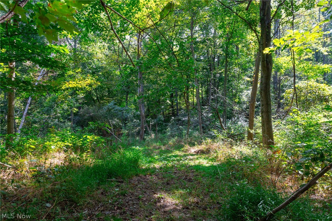 14425 Township Road 467 Lakeville OH 44638