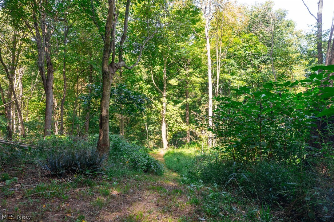 14425 Township Road 467 Lakeville OH 44638