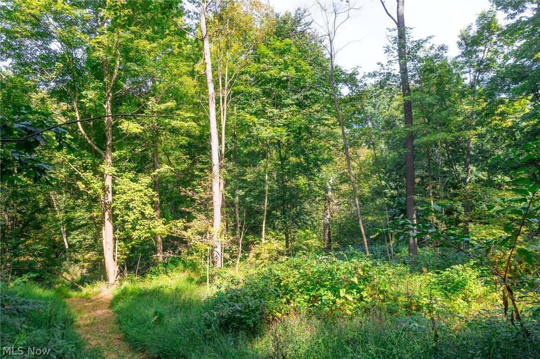 14425 Township Road 467 Lakeville OH 44638