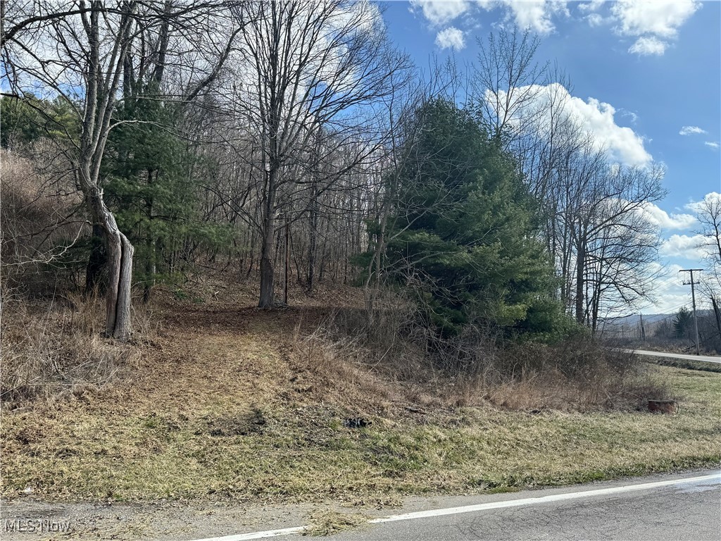 Holloway Rd/state Route 331 Flushing OH 43977
