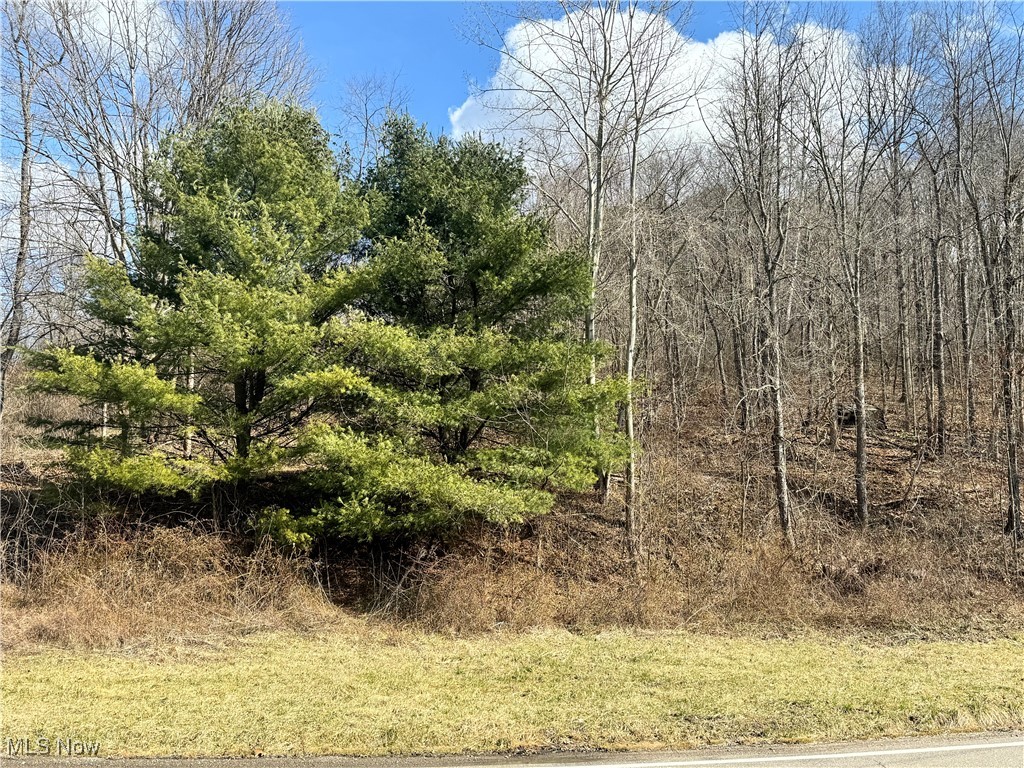 Holloway Rd/state Route 331 Flushing OH 43977