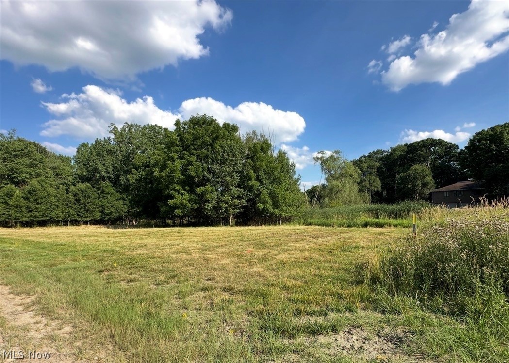 5218 Birkdale Street NW Canton OH 44708