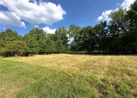 5218 Birkdale Street NW Canton OH 44708