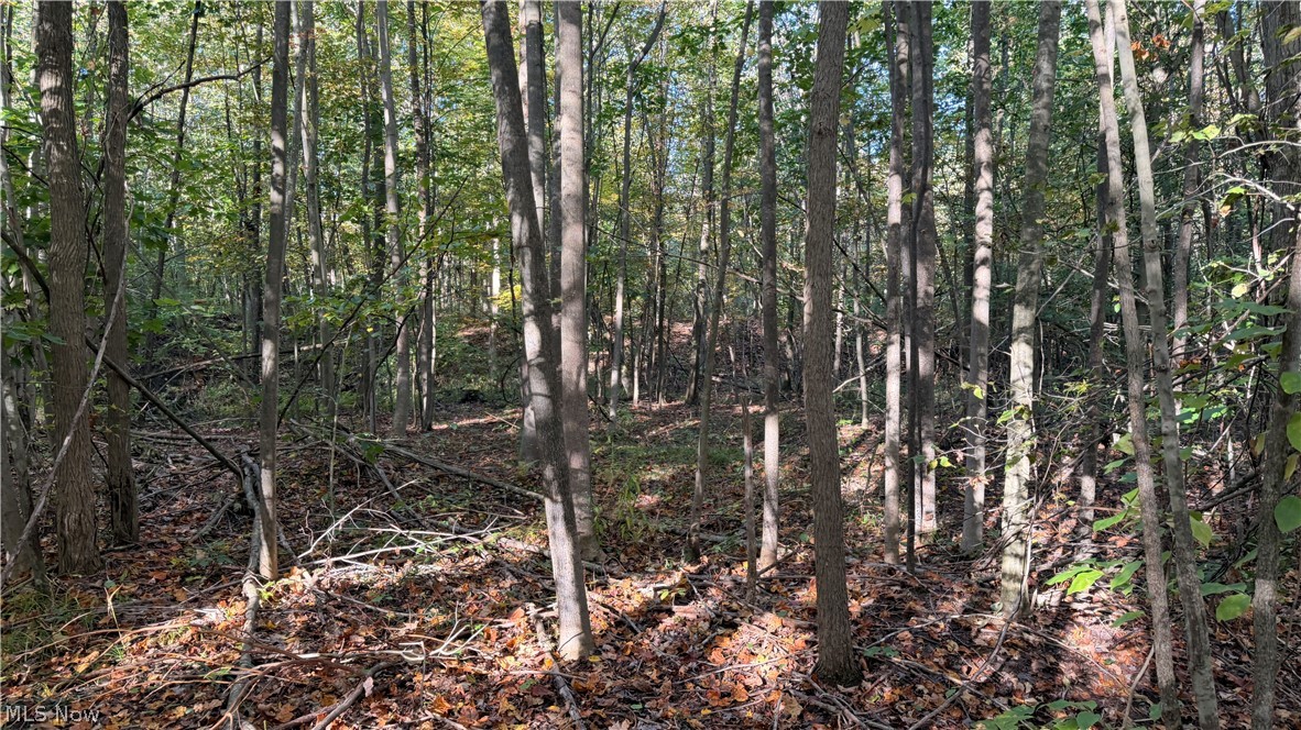 Munson Hill Road Ashtabula OH 44004