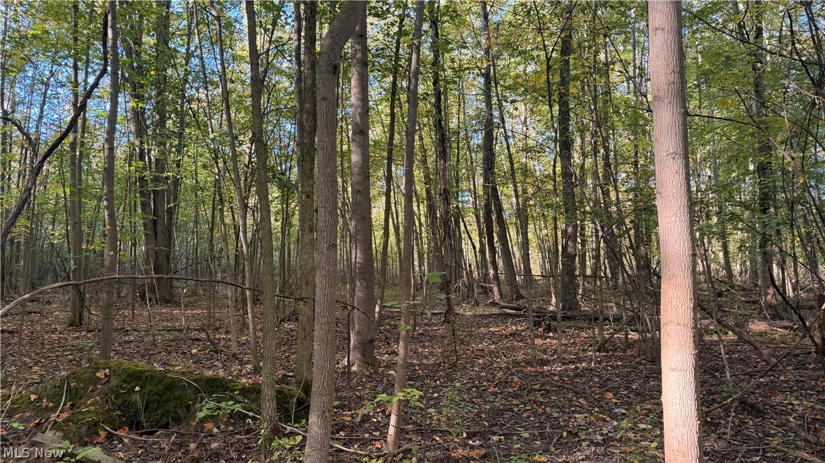Munson Hill Road Ashtabula OH 44004