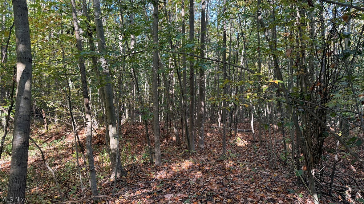 Munson Hill Road Ashtabula OH 44004