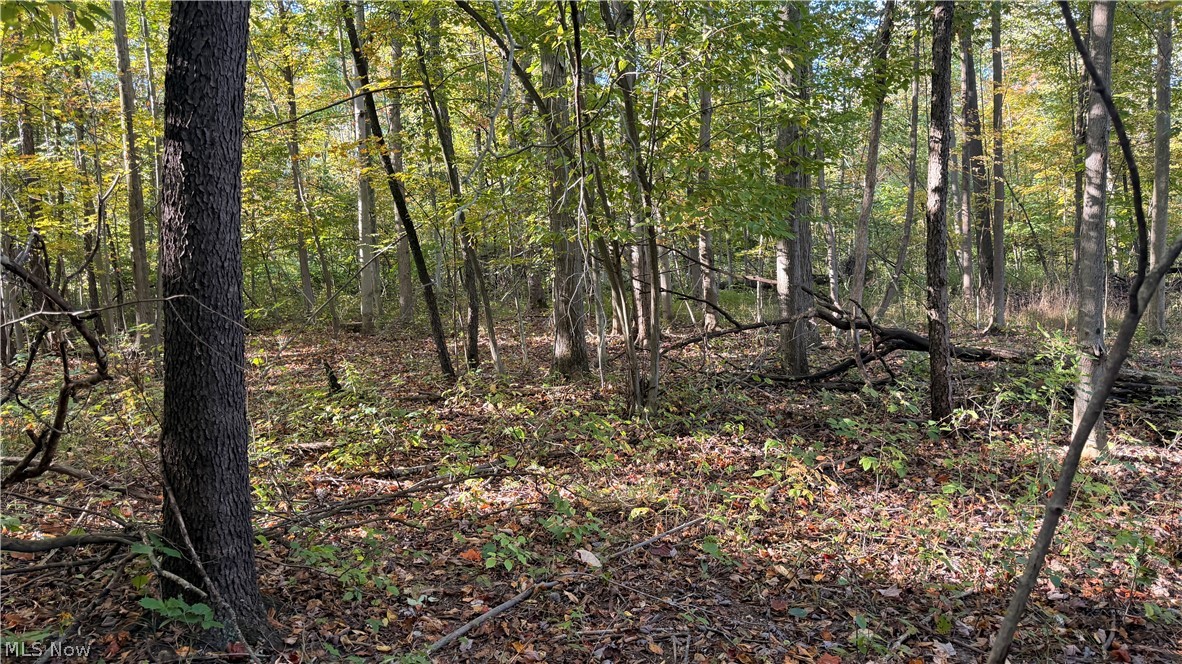 Munson Hill Road Ashtabula OH 44004