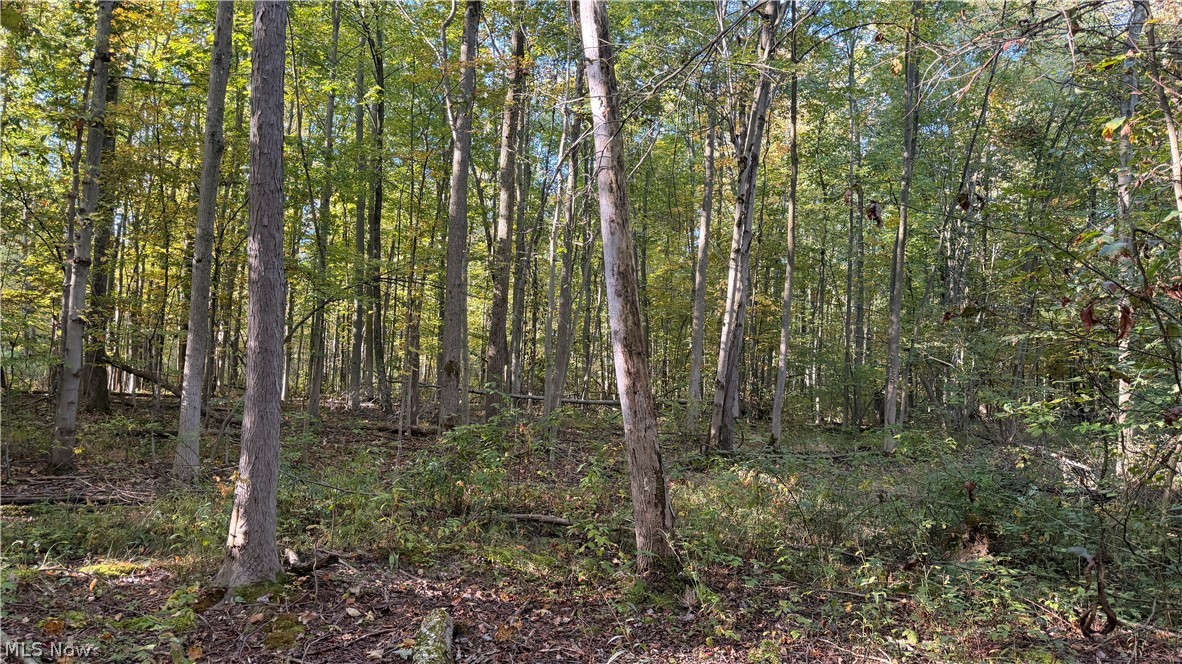 Munson Hill Road Ashtabula OH 44004