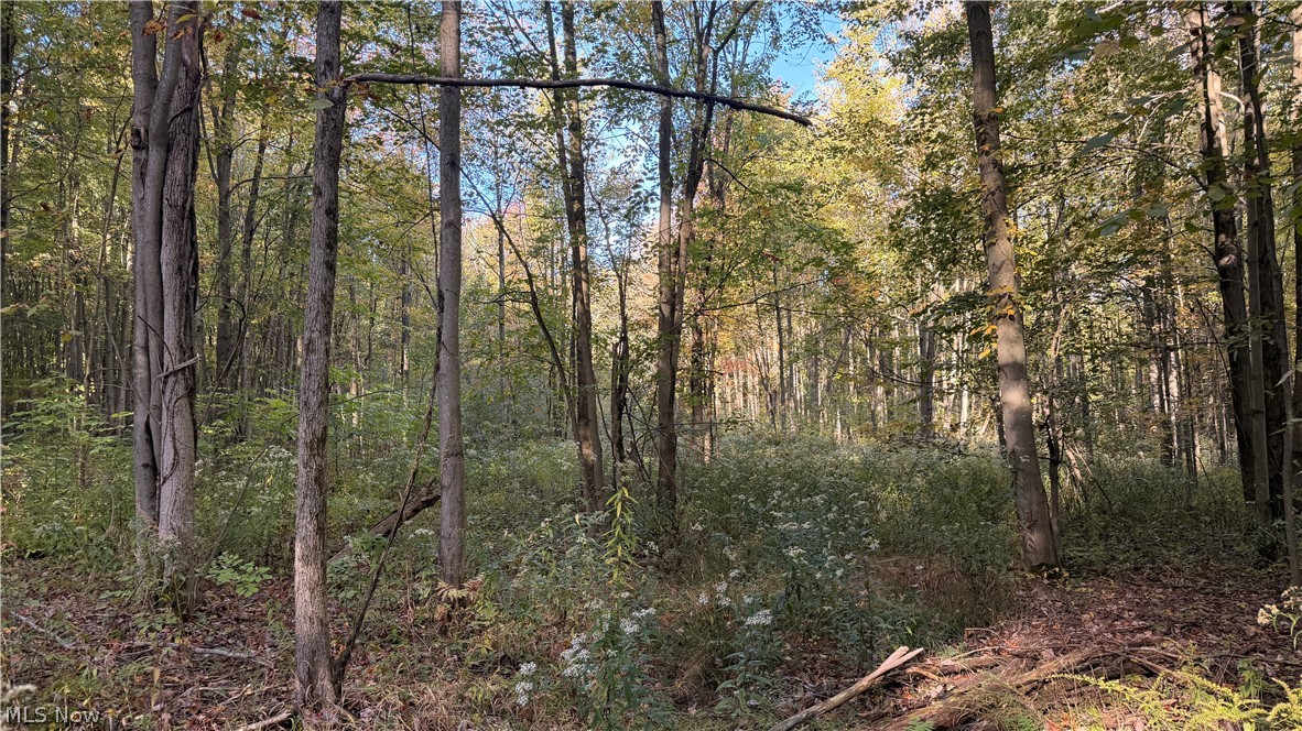 Munson Hill Road Ashtabula OH 44004