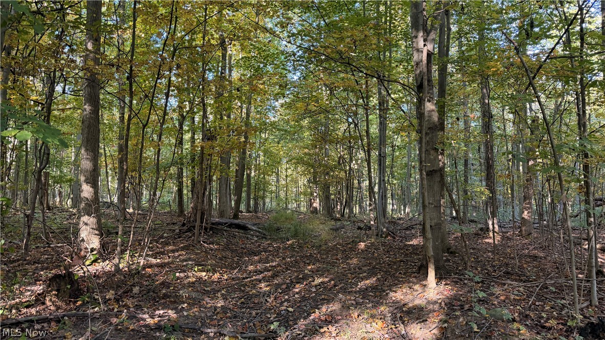Munson Hill Road Ashtabula OH 44004
