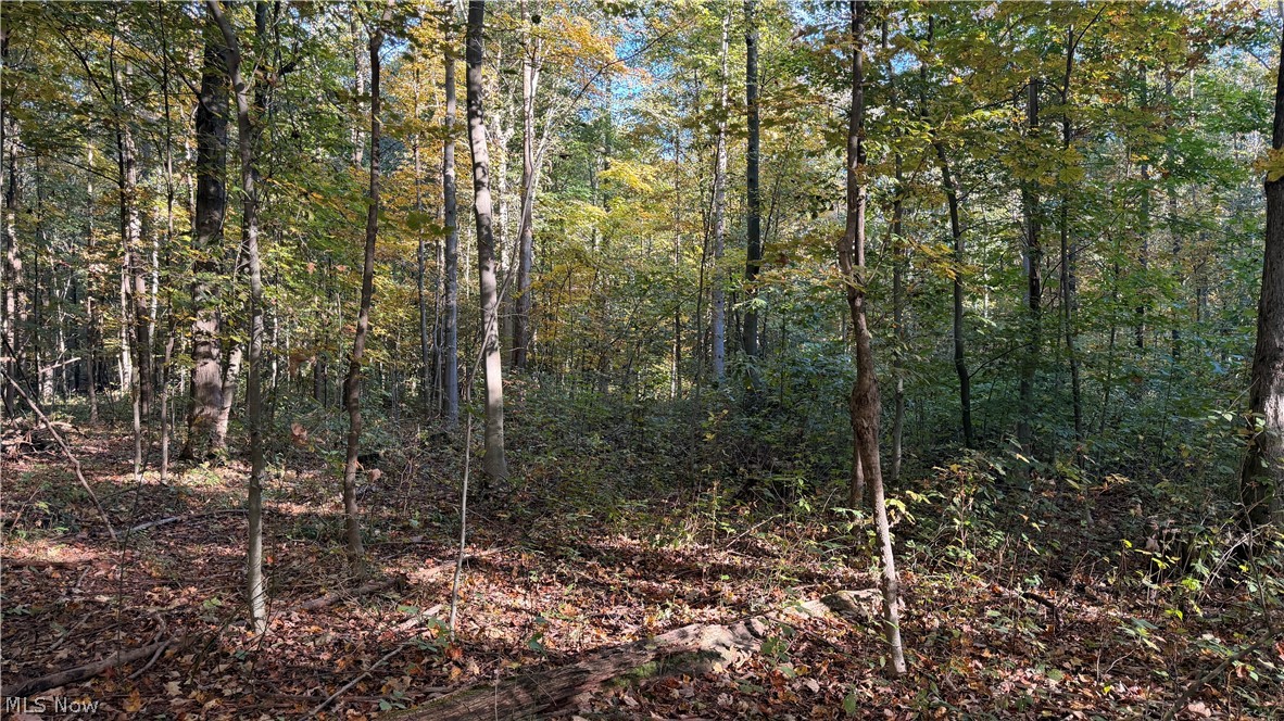 Munson Hill Road Ashtabula OH 44004