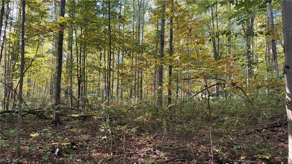Munson Hill Road Ashtabula OH 44004