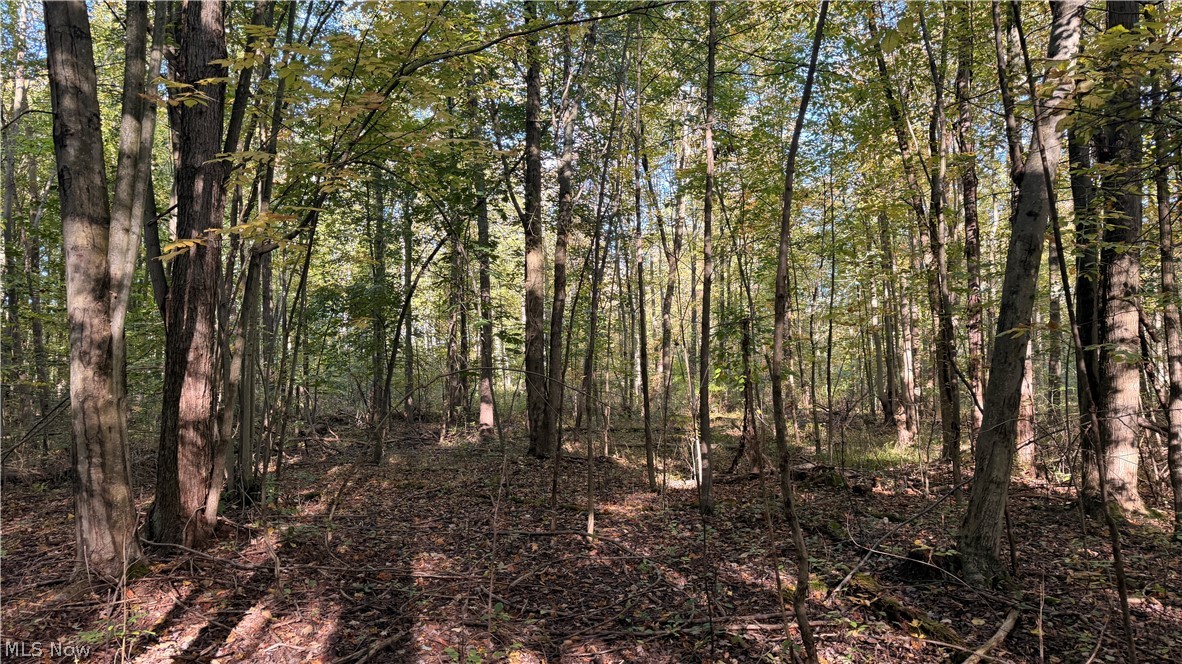 Munson Hill Road Ashtabula OH 44004
