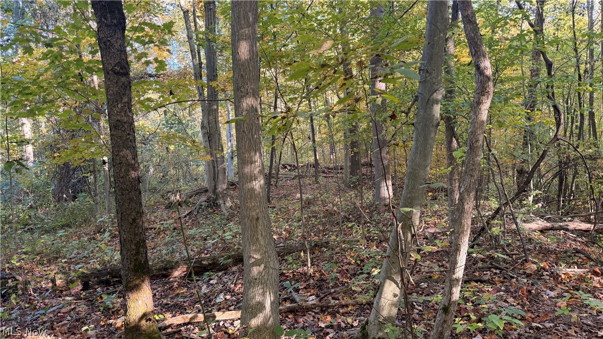 Munson Hill Road Ashtabula OH 44004