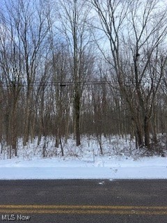 Walter Main Road Geneva OH 44041