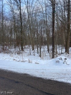 Walter Main Road Geneva OH 44041