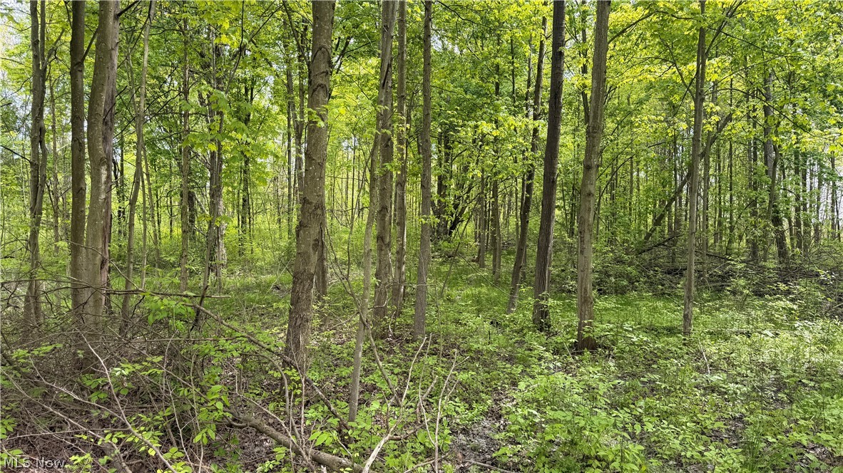 Youngstown Kingsville Road Warren OH 44473
