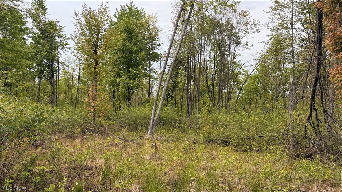 Youngstown Kingsville Road Warren OH 44473