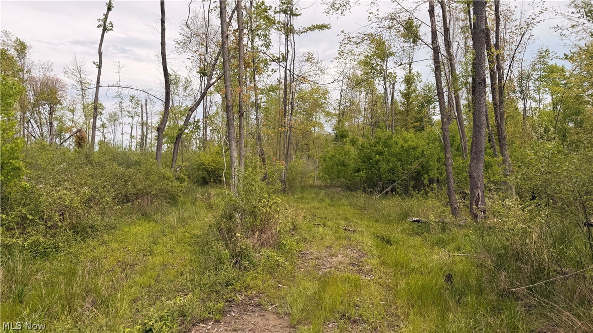 Youngstown Kingsville Road Warren OH 44473