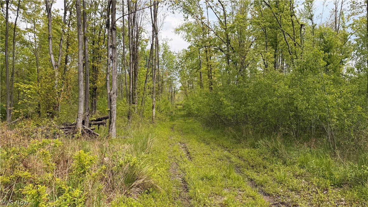 Youngstown Kingsville Road Warren OH 44473