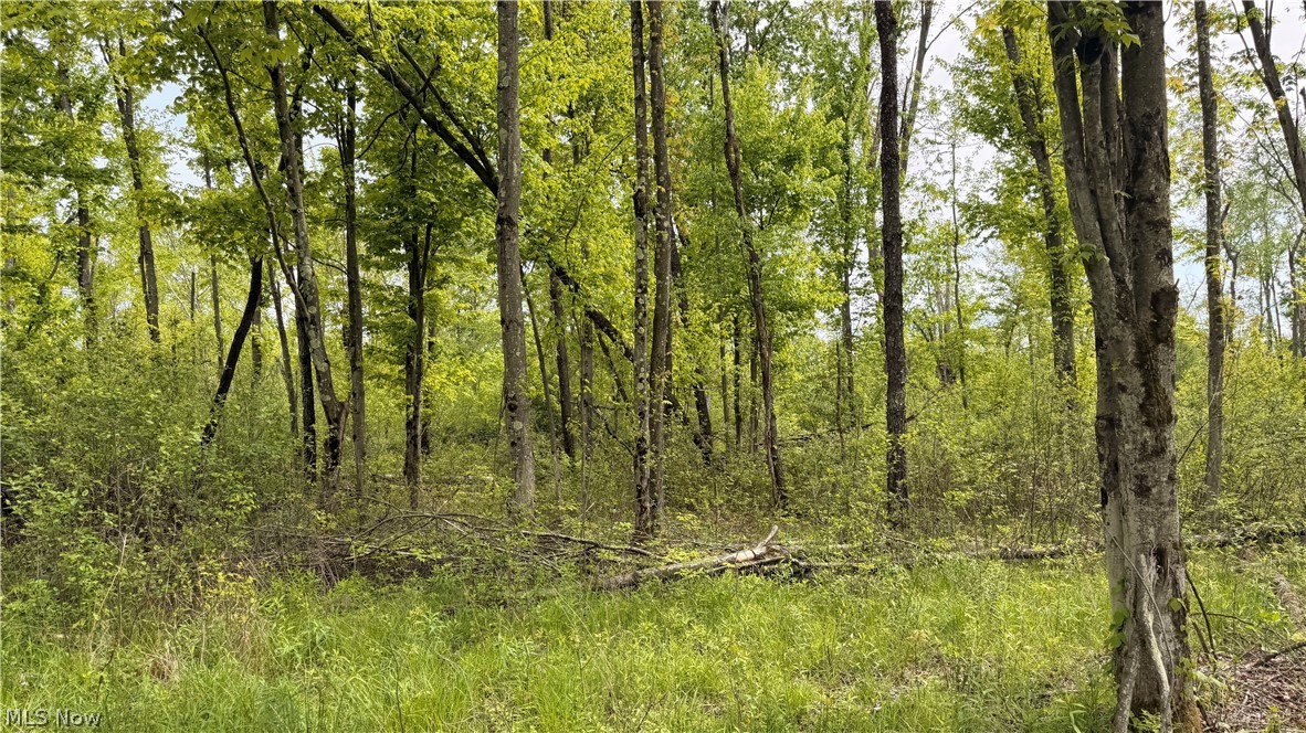 Youngstown Kingsville Road Warren OH 44473